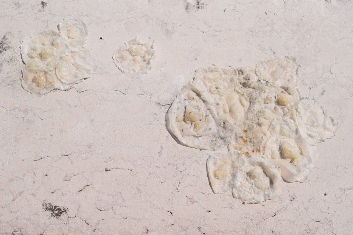 Mimesi, resina acrilica e mix di polveri, dimensioni variabili, 2017