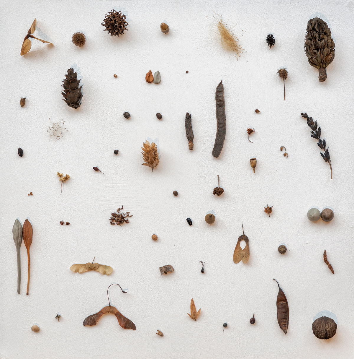 Talk partecipativo — Un ritratto di Milano, Casa degli Artisti